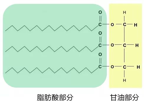 MCT化学结构